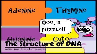 OLD VIDEO DNA Structure and Function [upl. by Auric]