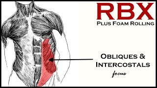 Obliques amp Intercostals  Resistance Bands Exercises  Plus Foam Rolling [upl. by Gennie]