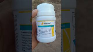 Syngenta Actara Systemic Insecticide Thiamethoxam 25 [upl. by Ahkeber306]