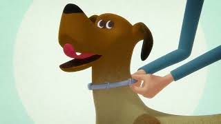 How to Apply the Seresto Collar for Dogs [upl. by Anertak]