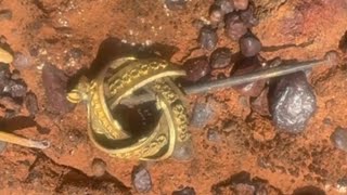 Coast to Goldfields Safari 2024 DavyhurstGold Digging’s North of Rowles Lagoon…Western Australia [upl. by Elletse944]