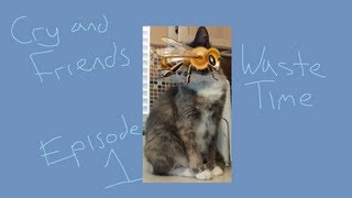 Cry and Friends Waste Time Episode 1 [upl. by Etra474]