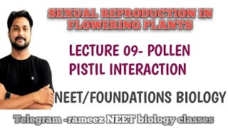 POLLEN PISTIL INTERACTION rameezneetbiologyclasses postpollinationevents NTANEET2023 [upl. by Trin]