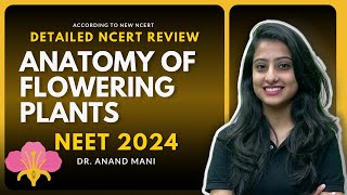 Anatomy of Flowering Plants  Detailed NCERT Review  NEET 2024  Dr Anand Mani [upl. by Desma943]