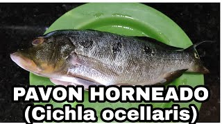 PESCADO AL HORNO PAVON CICHLA OCELLARIS [upl. by Ennove]