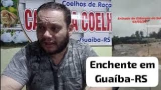 Minha Cidade foi Alagada Como está a Criação de Coelhos e minha Família [upl. by Mailiw]