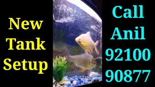 New Fish Tank Setup by Anil  Call 9210090877 Fish Shopping in India trending viral short [upl. by Nuncia]