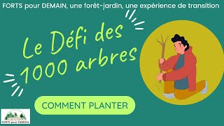 Défi des 1000 arbres 2023  comment planter [upl. by Arednaxela]