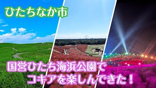 《ひたちなか市》国営ひたち海浜公園でいろんなコキアを楽しんできました！ [upl. by Olifoet]