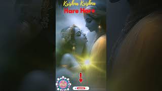 newsong music song bollywood love kamyabitak sorts viralshort [upl. by Dieterich]