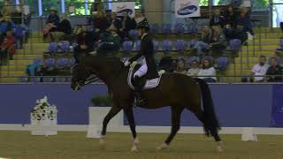 Jemma Heran and Total Recall won the Grand Prix Freestyle CDN at the Sydney International CDLite [upl. by Langsdon]