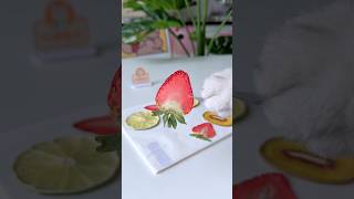 Strawberries make a refrigerator sticker Its beautifulcatofyoutube cooking [upl. by Atiuqcaj]