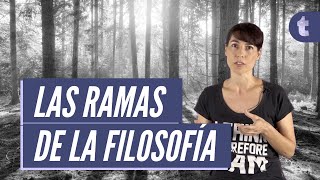 ¿Cuáles son las ramas de la filosofía  El porqué de la filosofía [upl. by Uke861]