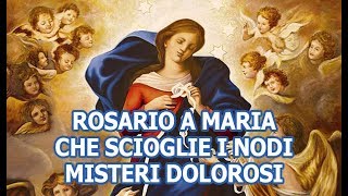 Rosario a Maria che scioglie i nodi  Misteri Dolorosi [upl. by Lama967]