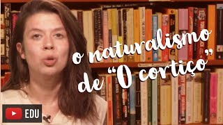 O CORTIÇO RESOLUÇÃO DE DÚVIDAS E ESCOLA LITERÁRIA [upl. by Nomihs]