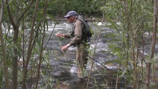 Fly Fishing the Gallatin River in Bozeman Montana [upl. by Chitkara785]