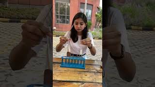 The Effect of Saliva on Starch  Science Experiments  CBSE Class 7  Arisha Mam shorts ytshorts [upl. by Leimaj453]