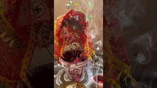 Tulsi pujan🌿❤️🙏🏻tulsivivah ekadashi tulsi youtubeshorts bhakti reels shorts [upl. by Llemert]