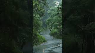 nature lovermere raske kamar song music newsong shortsfeed [upl. by Akram]