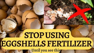 Eggshells fertilizer for plants  Myths and correct use [upl. by Neffets72]