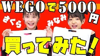 【WEGO】さくらちゃんと1人5000円分買ってみた！今回は小物が多い！？【購入品紹介】 [upl. by Valli]