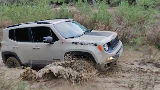 jeep renegade offroad team gr renegade jeepoffroad [upl. by Odracir]