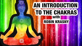 Beginners Guide to Chakras  Everything You Need to Know About Chakras [upl. by Seidel165]