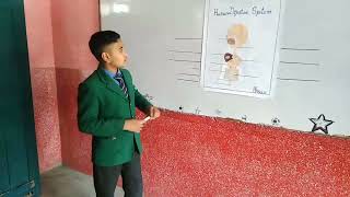 How to Have Class Presentation l GHS Thatta Musa [upl. by Aroled891]