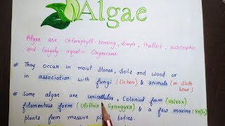 ALGAE  Plant kingdom Part 2  Class 11 biology  Chapter 3 [upl. by Elaweda427]