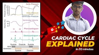 Cardiac cycle with graph Explained in 20mins [upl. by Aicilaf]