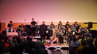 ClaraSchumannRealschule Big Band Konzert 2014 [upl. by Jarietta778]