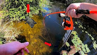 Fishing This EVERGLADE CANAL Did Not Disappoint Gators Everywhere [upl. by Eilac]