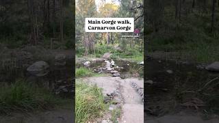 The sounds of Carnarvon Gorge 💚 carnarvongorge queensland nature [upl. by Murrah]