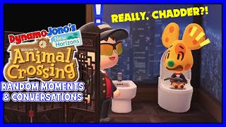 Animal Crossing New Horizons Random Moments amp Conversations 4 [upl. by Hajin]