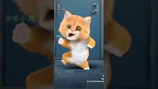 kitten kittten katten cute shortvideo shorts [upl. by Omidyar]