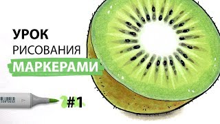 Урок по рисованию маркерами для новичков 1  Рисуем киви [upl. by Rhianon]