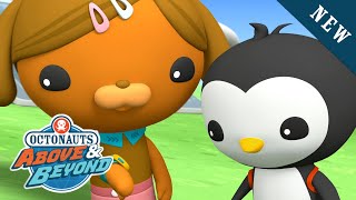 Octonauts Above amp Beyond  Pinto Recieves an OctoWatch  Land Adventures  Kidzuko [upl. by Anigar643]