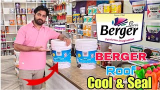 BERGERS Roof Cool amp Seal  Best Waterproof roof Coating product in India [upl. by Arin]