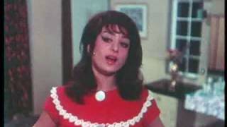 Padosan  313  Bollywood Movie  Sunil Dutt Kishore Kumar amp Saira Bano [upl. by Nhor673]