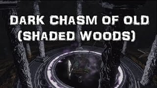 Dark Souls 2 Dark Chasm of Old Shaded Woods [upl. by Akcinat]