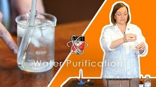 Water Purification amp Testing  GCSE Science Required Practical Triple [upl. by Alaehcim137]