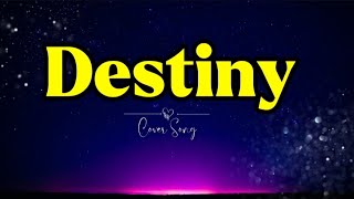 Destiny Tagalog Version  ROSELLENAVA karaoke lyrics [upl. by Iretak750]