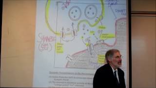 PHYSIOLOGY THE NEUROMUSCULAR JUNCTION by Professor Fink [upl. by Lehacim113]