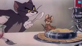 Tom and Jerry  Episode  Smitten Kitten Part 2  Cartoons For Kids [upl. by Anayad]