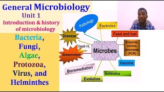 General Microbiology Unit 1 Introduction and History of Microbiology [upl. by Arinaj]