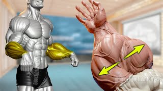 6 Effective Exercises to Get Big Veiny Forearms [upl. by Schoening852]