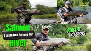 Fishing Douglaston Salmon Run of the Salmon River Part 2  Some of my favorite sections to fish [upl. by Etnomaj548]