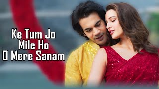 Tum Jo Mile Ho LYRICS  Vishal Mishra  SachinJigar  V V K W W V  Rajkumar Rao  Tripti Dimri [upl. by Colver144]