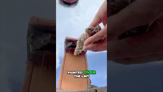 Shocking Dryer Vent Discovery What Painters Missed dryer [upl. by Goar498]