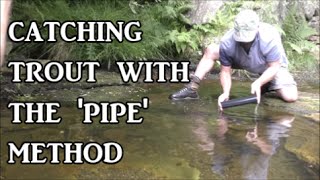 Catching wild trout by tickling and pipe method  survival skills [upl. by Sykes201]